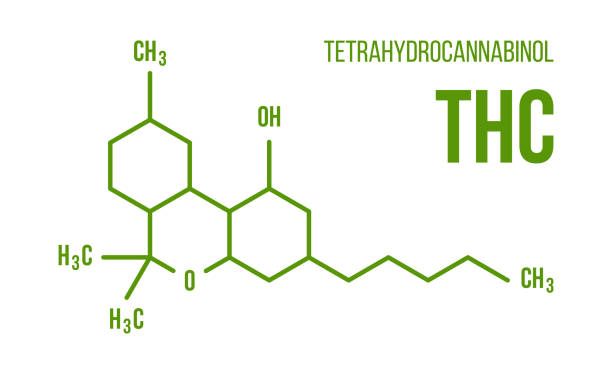 THC Will Show Up Positive on a Drug Test