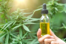 Is CBD Oil Effective for Post-Surgery Pain?
