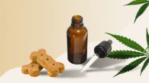 Holistic Treatments And Cbd Oil For Dogs And Cats