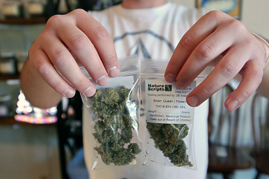 Why cannabis is harmful to teens
